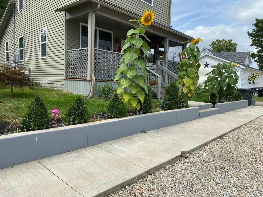 Solar Roof, Eco-Friendly Home Baltimore Εξωτερικό φωτογραφία